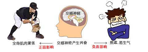 全身肌肉紧张、交感神经产生兴奋、怒焦虑，易生气