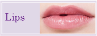 lip